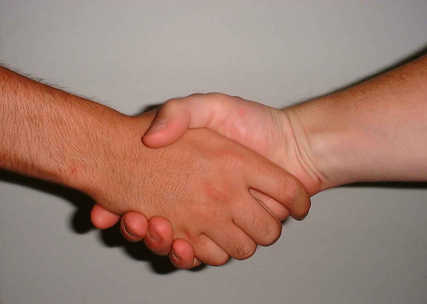 Two people shaking hands (symbol of an alliance)